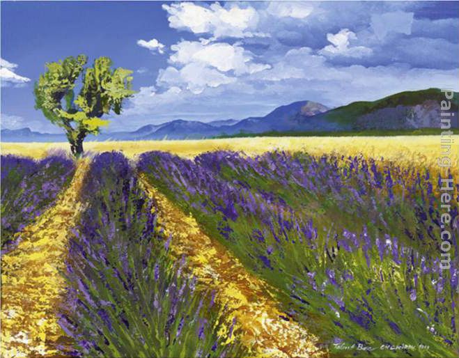 Lavendelfeld mit Baum painting - Talantbek Chekirov Lavendelfeld mit Baum art painting